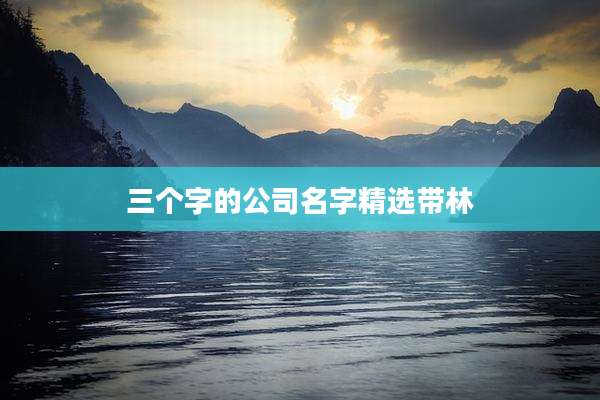 三个字的公司名字精选带林