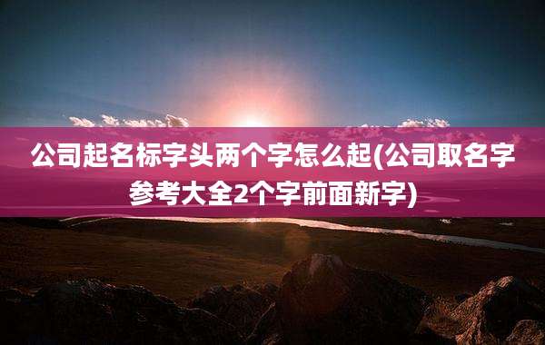 公司起名标字头两个字怎么起(公司取名字参考大全2个字前面新字)