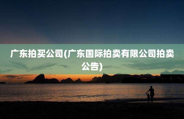 广东拍买公司(广东国际拍卖有限公司拍卖公告)