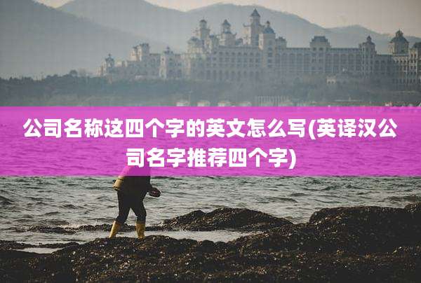 公司名称这四个字的英文怎么写(英译汉公司名字推荐四个字)