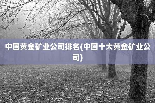 中国黄金矿业公司排名(中国十大黄金矿业公司)