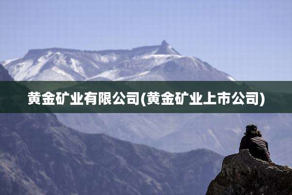黄金矿业有限公司(黄金矿业上市公司)