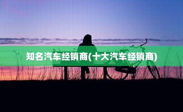 知名汽车经销商(十大汽车经销商)