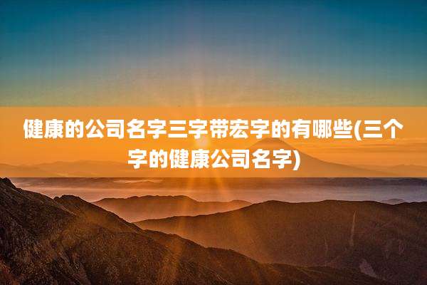 健康的公司名字三字带宏字的有哪些(三个字的健康公司名字)