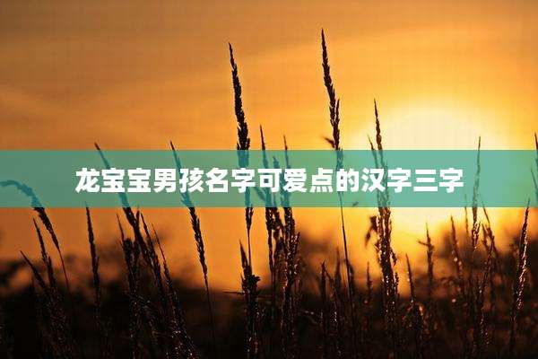 龙宝宝男孩名字可爱点的汉字三字