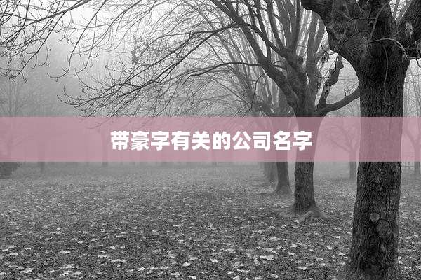 带豪字有关的公司名字