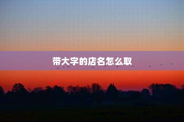 带大字的店名怎么取