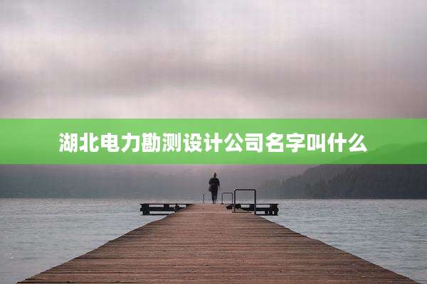 湖北电力勘测设计公司名字叫什么