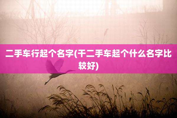 二手车行起个名字(干二手车起个什么名字比较好)