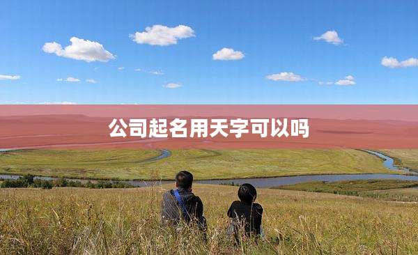 公司起名用天字可以吗