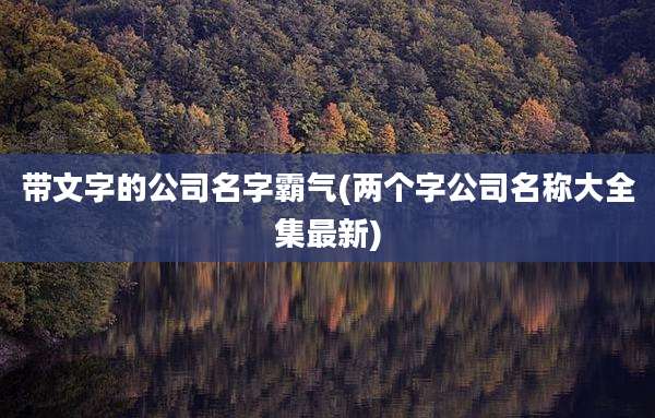带文字的公司名字霸气(两个字公司名称大全集最新)