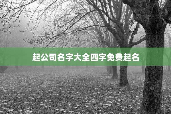 起公司名字大全四字免费起名