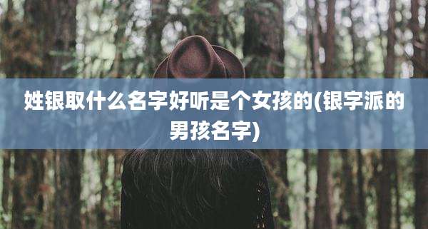 姓银取什么名字好听是个女孩的(银字派的男孩名字)