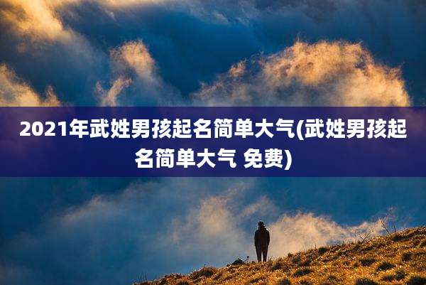 2021年武姓男孩起名简单大气(武姓男孩起名简单大气 免费)