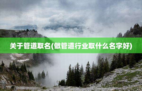关于管道取名(做管道行业取什么名字好)