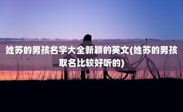 姓苏的男孩名字大全新颖的英文(姓苏的男孩取名比较好听的)