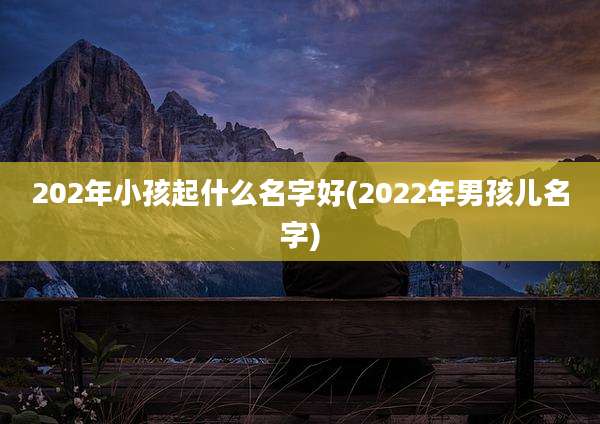 202年小孩起什么名字好(2022年男孩儿名字)