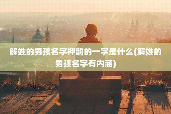 解姓的男孩名字押韵的一字是什么(解姓的男孩名字有内涵)
