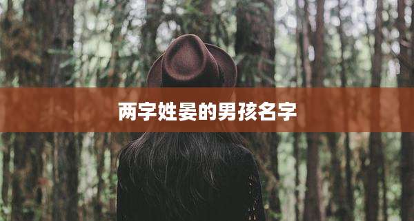 两字姓晏的男孩名字