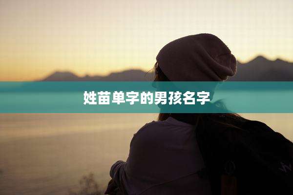 姓苗单字的男孩名字