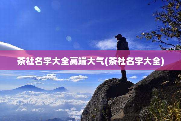 茶社名字大全高端大气(茶社名字大全)