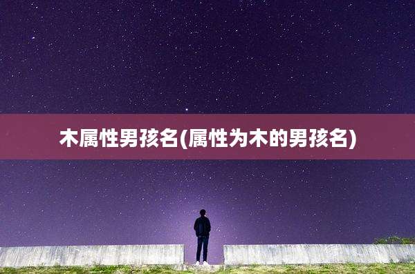 木属性男孩名(属性为木的男孩名)