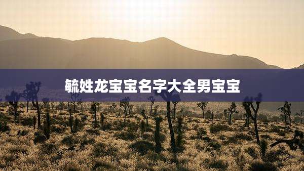 毓姓龙宝宝名字大全男宝宝