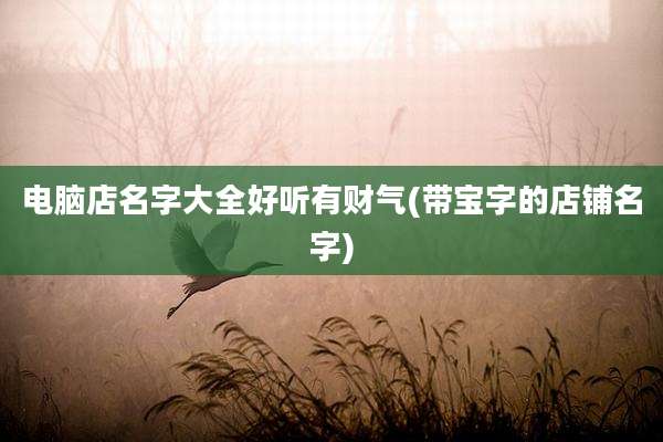 电脑店名字大全好听有财气(带宝字的店铺名字)