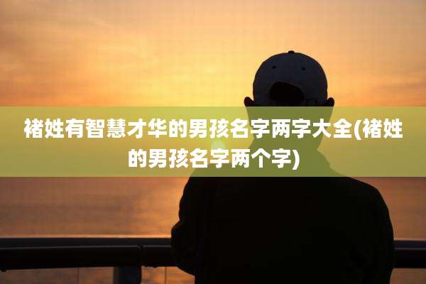 褚姓有智慧才华的男孩名字两字大全(褚姓的男孩名字两个字)