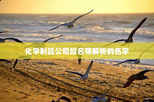化学制品公司起名带解析的名字