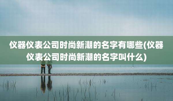 仪器仪表公司时尚新潮的名字有哪些(仪器仪表公司时尚新潮的名字叫什么)