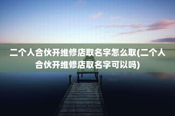 二个人合伙开维修店取名字怎么取(二个人合伙开维修店取名字可以吗)