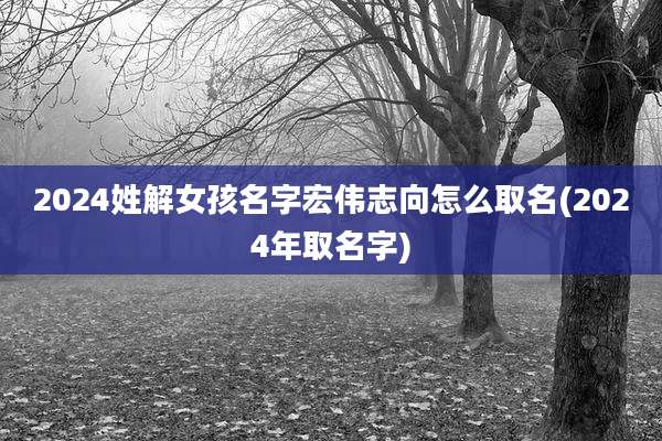 2024姓解女孩名字宏伟志向怎么取名(2024年取名字)
