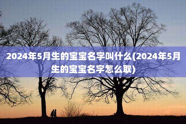 2024年5月生的宝宝名字叫什么(2024年5月生的宝宝名字怎么取)