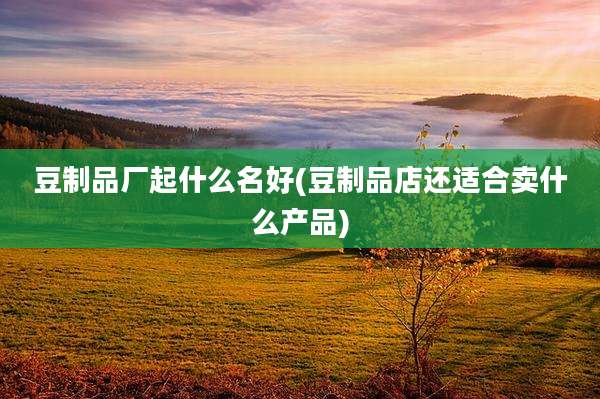 豆制品厂起什么名好(豆制品店还适合卖什么产品)