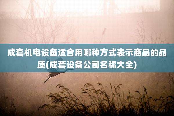 成套机电设备适合用哪种方式表示商品的品质(成套设备公司名称大全)