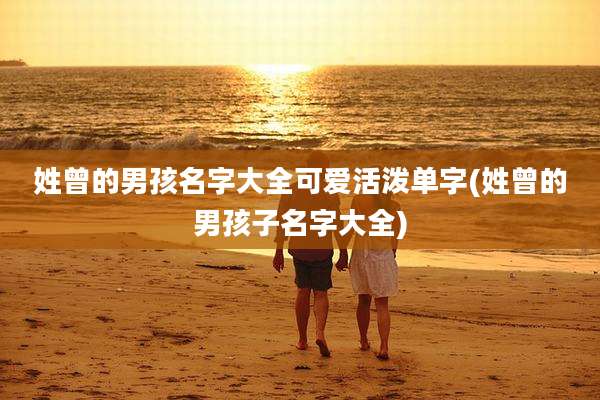 姓曾的男孩名字大全可爱活泼单字(姓曾的男孩子名字大全)
