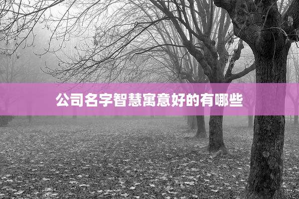 公司名字智慧寓意好的有哪些