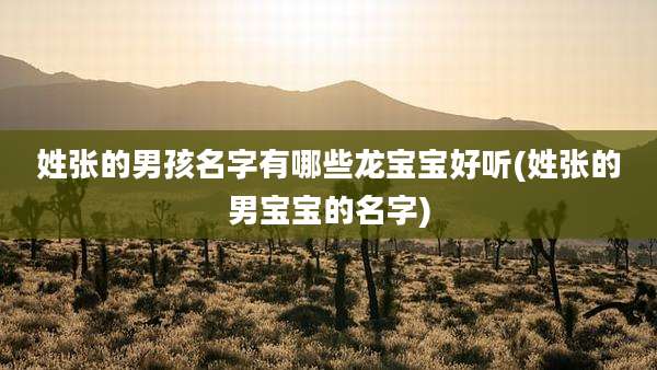 姓张的男孩名字有哪些龙宝宝好听(姓张的男宝宝的名字)