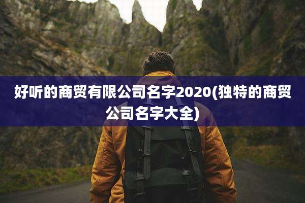 好听的商贸有限公司名字2020(独特的商贸公司名字大全)