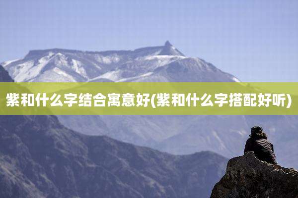 紫和什么字结合寓意好(紫和什么字搭配好听)