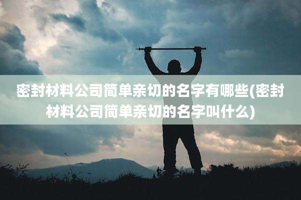 密封材料公司简单亲切的名字有哪些(密封材料公司简单亲切的名字叫什么)