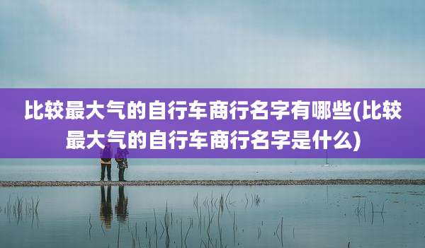 比较最大气的自行车商行名字有哪些(比较最大气的自行车商行名字是什么)