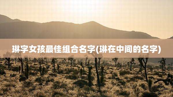 琳字女孩最佳组合名字(琳在中间的名字)