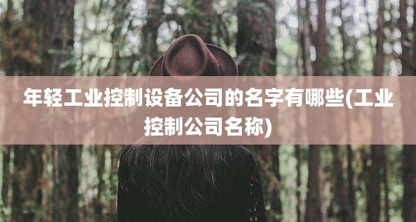 年轻工业控制设备公司的名字有哪些(工业控制公司名称)