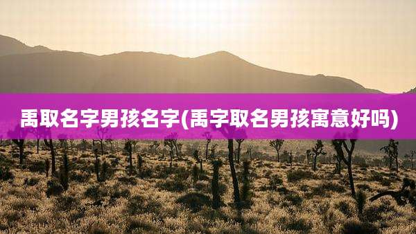 禹取名字男孩名字(禹字取名男孩寓意好吗)
