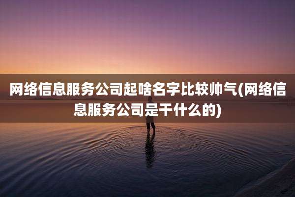 网络信息服务公司起啥名字比较帅气(网络信息服务公司是干什么的)
