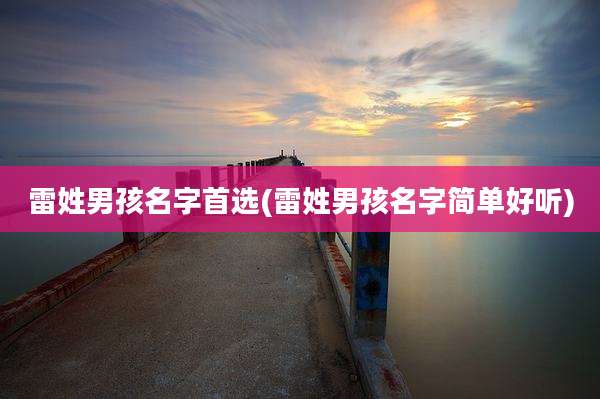 雷姓男孩名字首选(雷姓男孩名字简单好听)