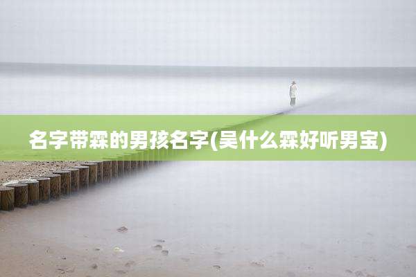 名字带霖的男孩名字(吴什么霖好听男宝)