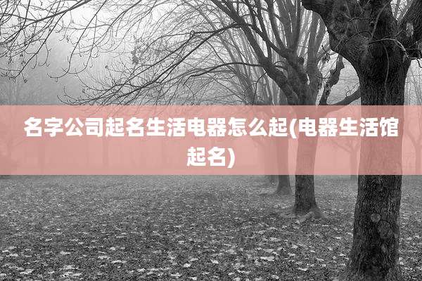 名字公司起名生活电器怎么起(电器生活馆起名)